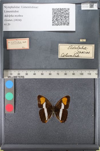Media type: image;   Entomology 141024